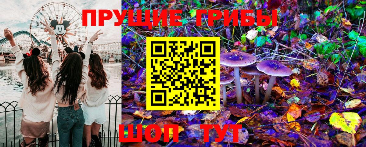 Галлюциногенные грибы Magic Shrooms  Галлюциногенные грибы ЛСД  Копейск  Вход с VPN 